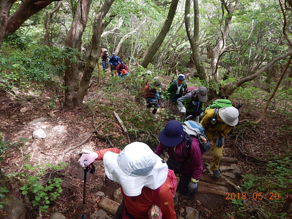 180520天城マウンテン_054階段　列