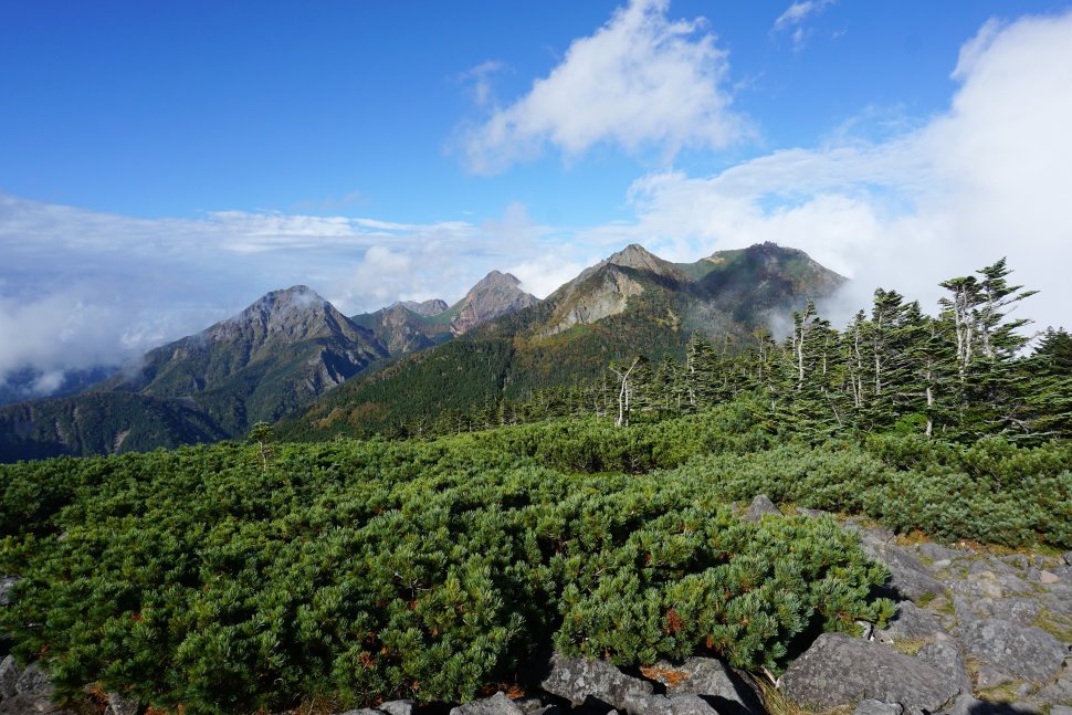 DSC00956権現岳・ギボシ・阿弥陀岳