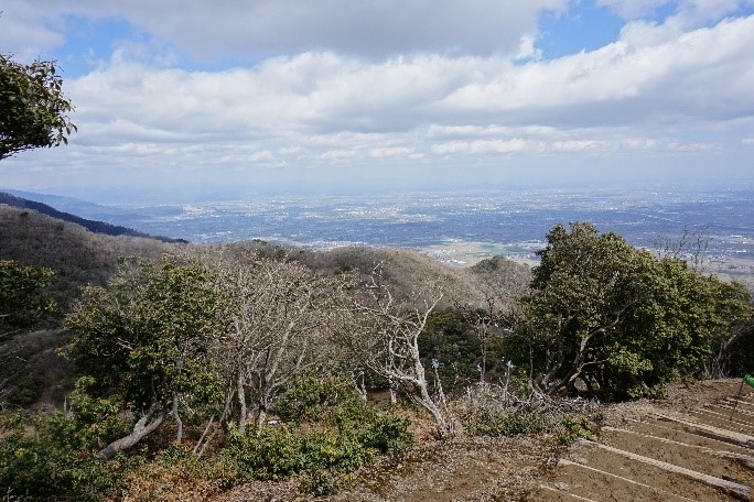 濃尾平野