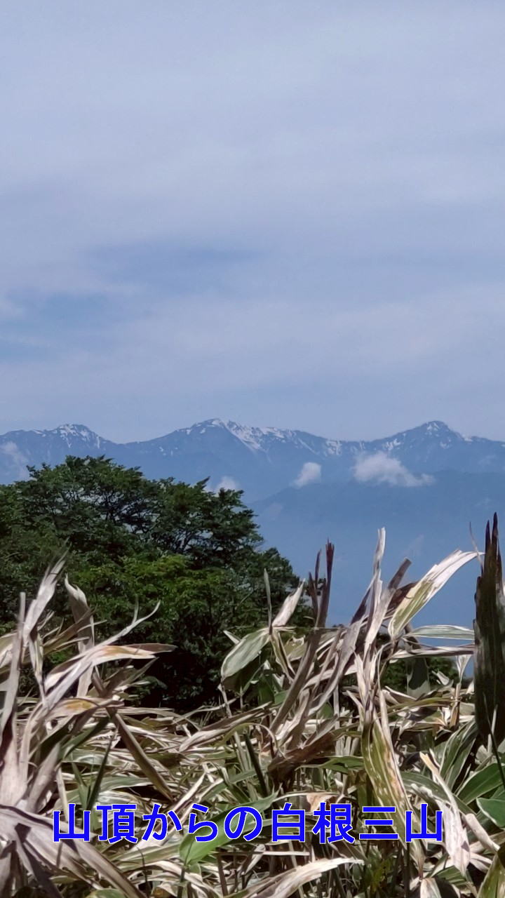 山頂からの白根三山遠望_0