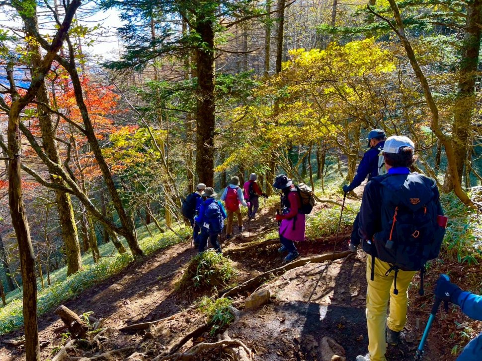 気持ちの良い登山道