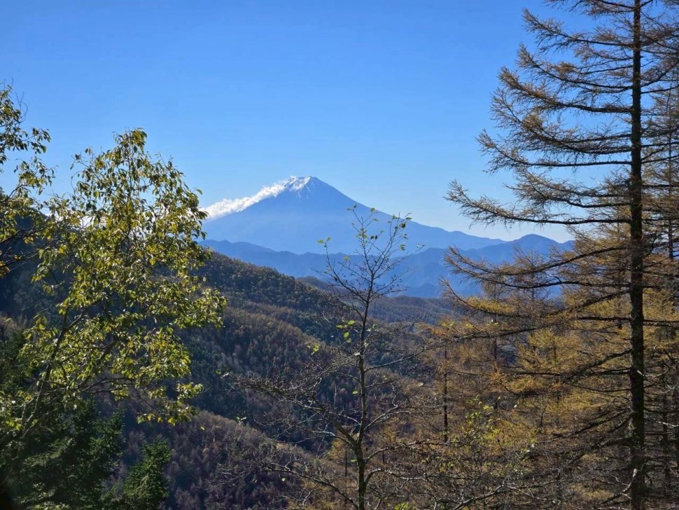 冠雪した富士山