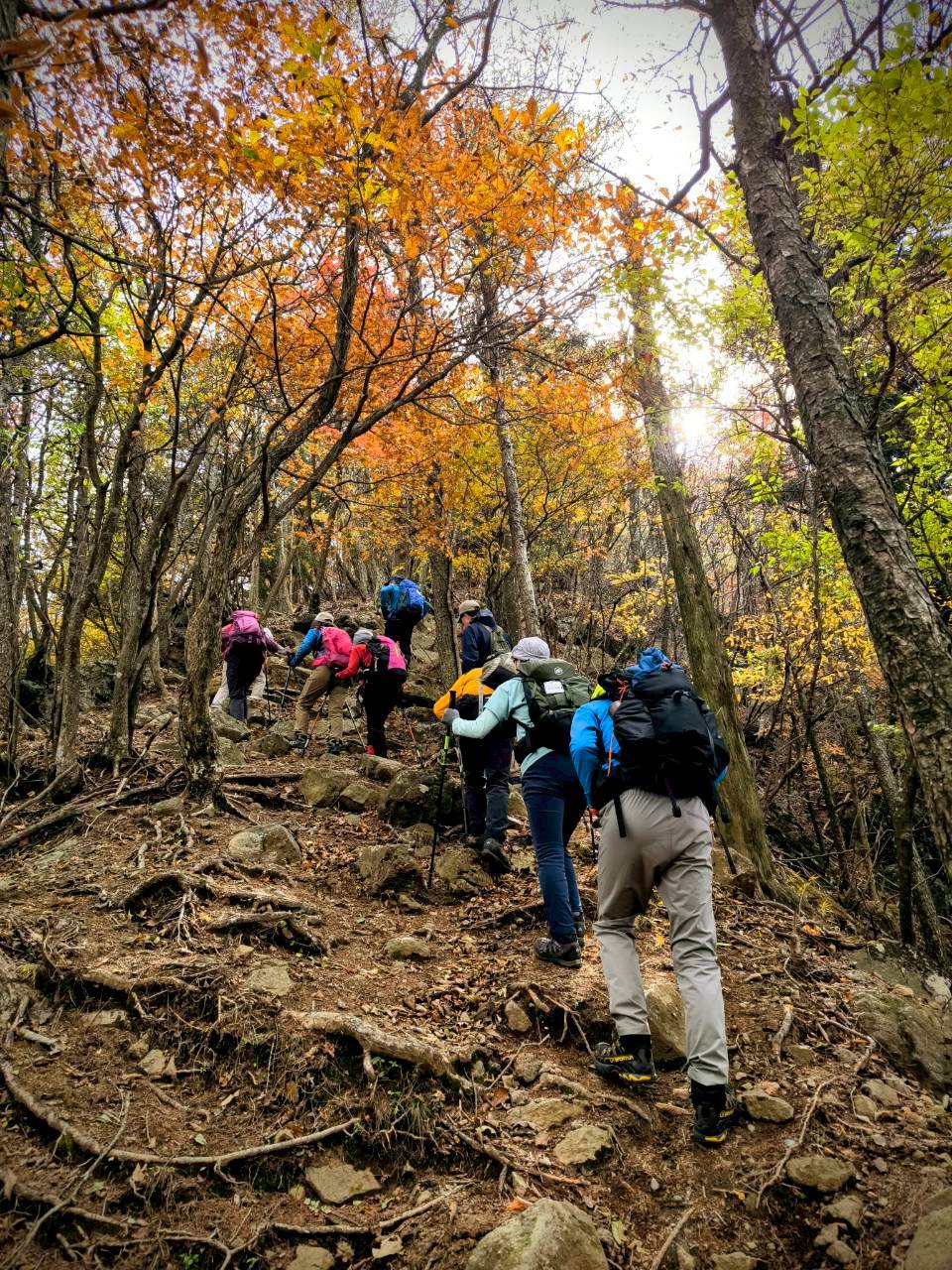 足和田山山頂まで急登が続く