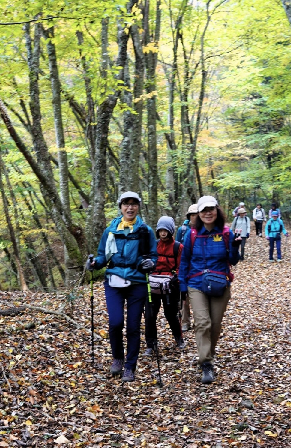 足和田山山頂から紅葉台まではゆるやかな山道が続きます