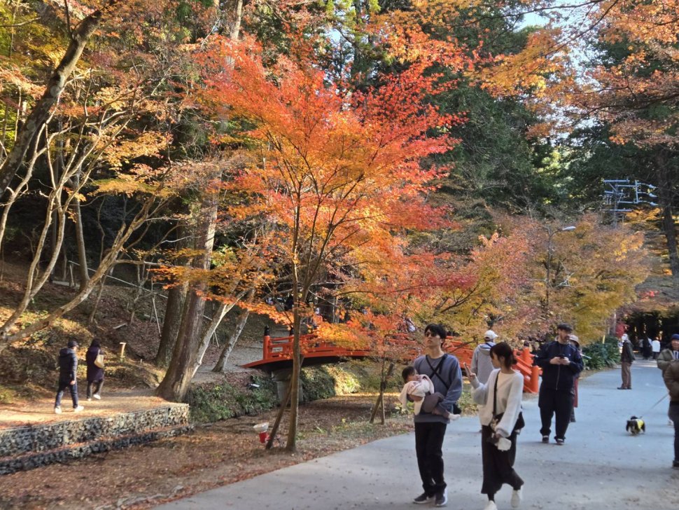 紅葉の小国神社