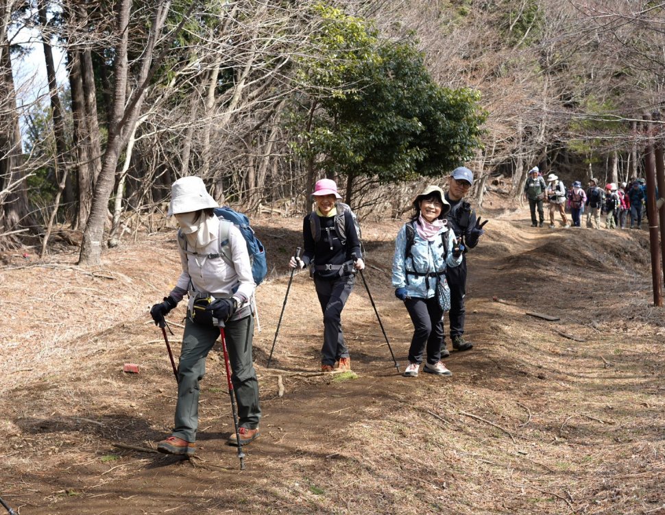 落葉広葉樹が出てきました、長い行列です