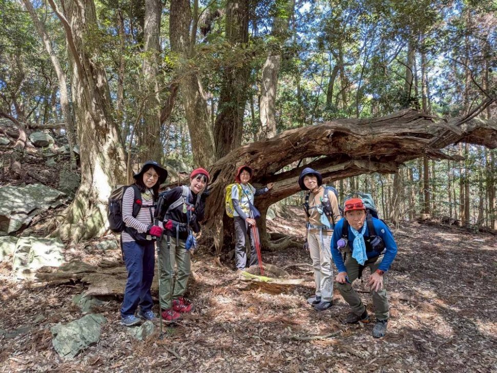 スダジイの大木の前で