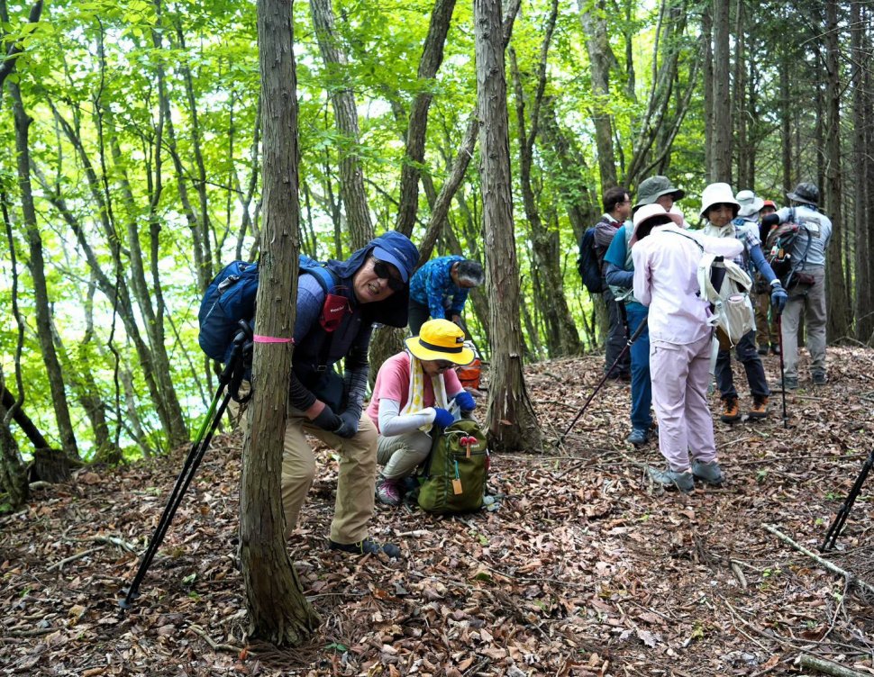 アンバ峠にて暫し休憩