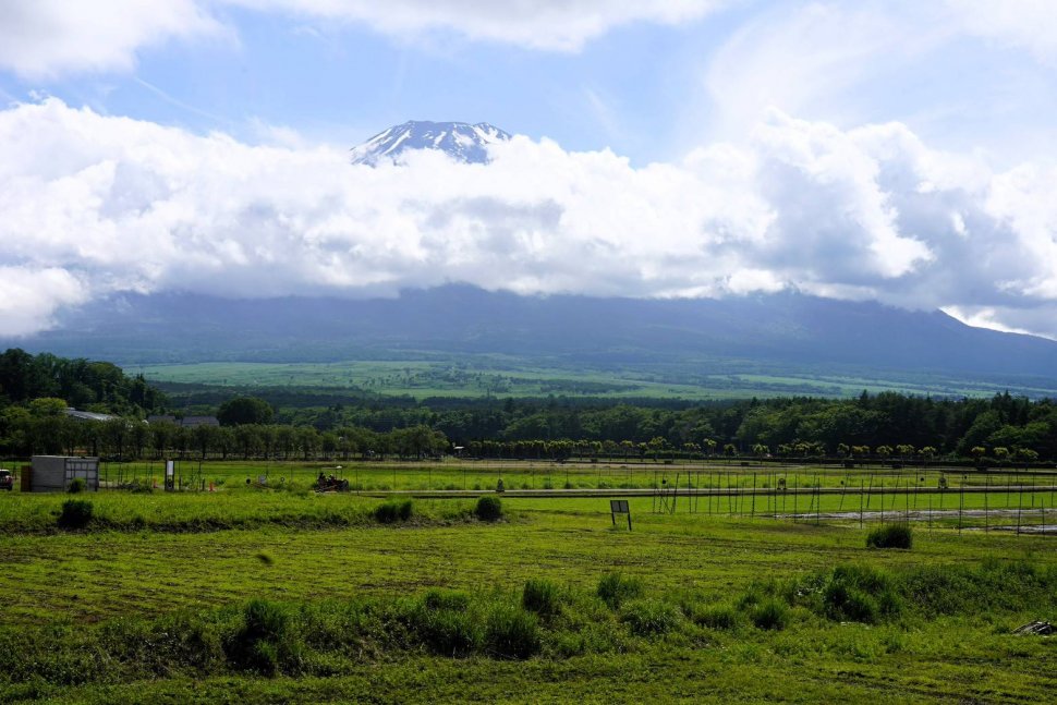花の都公園付近からの富士山